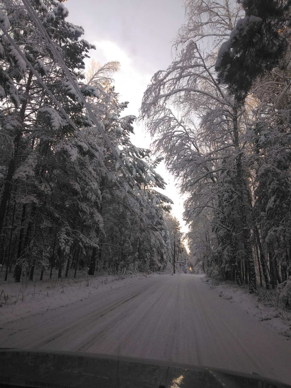 Зимняя дорога (Совсем Не Та) / Стихи.ру