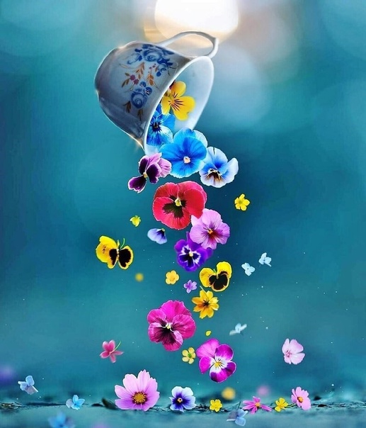 22 ноября. Мысли вслух...