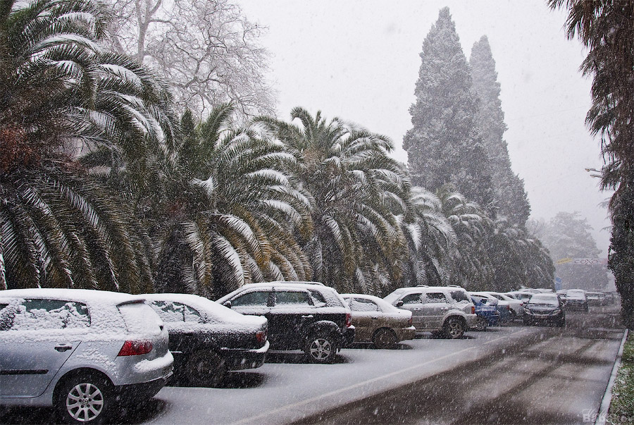 Снег для Сочи