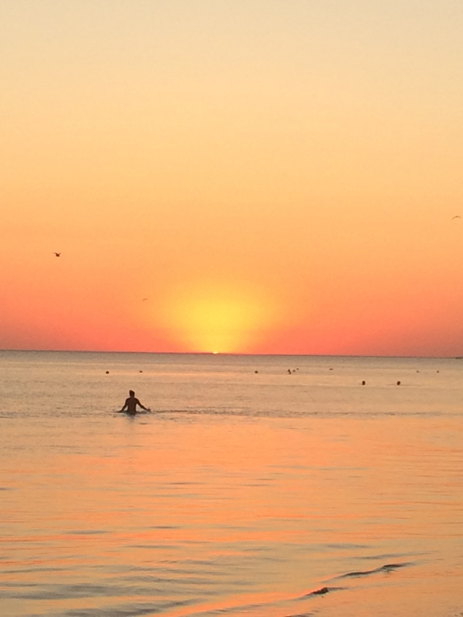 Наша встреча возможно подарок!
