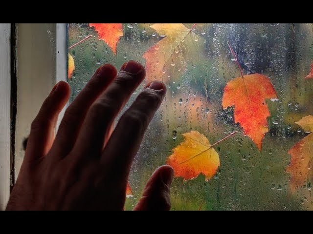 Мы так давно с тобой не говорили...