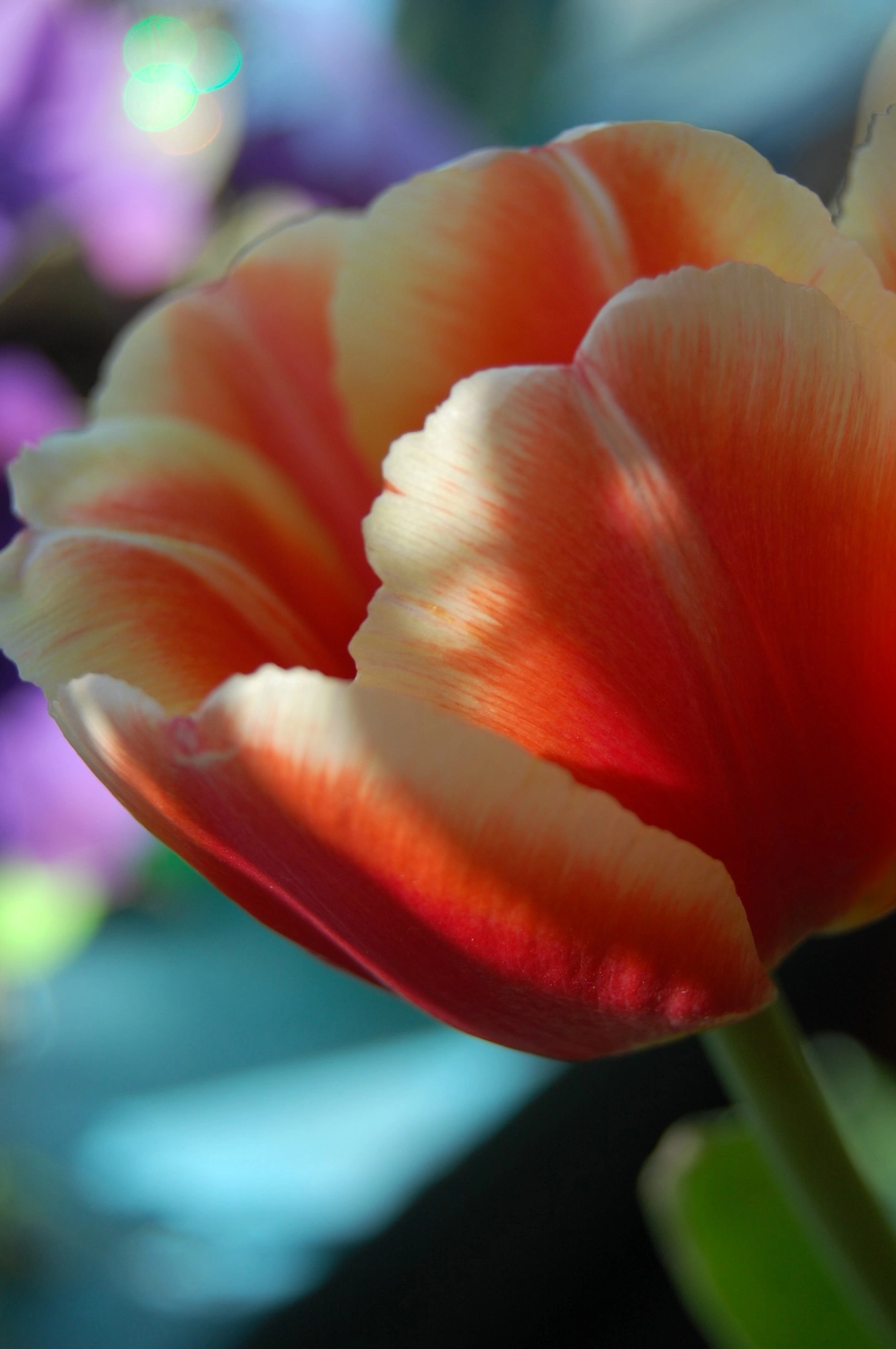 в душе, хранится всё