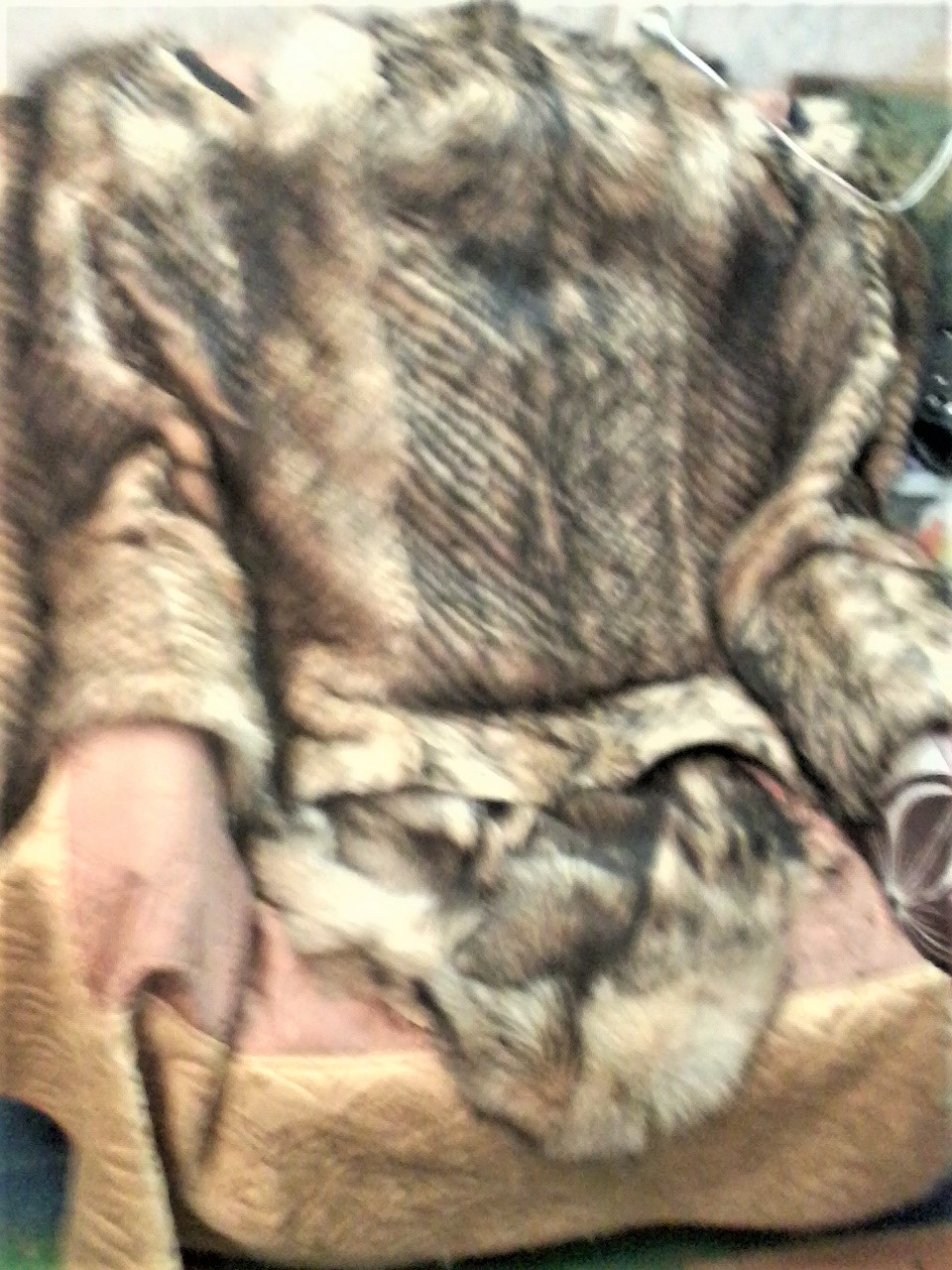 Без аксиомы