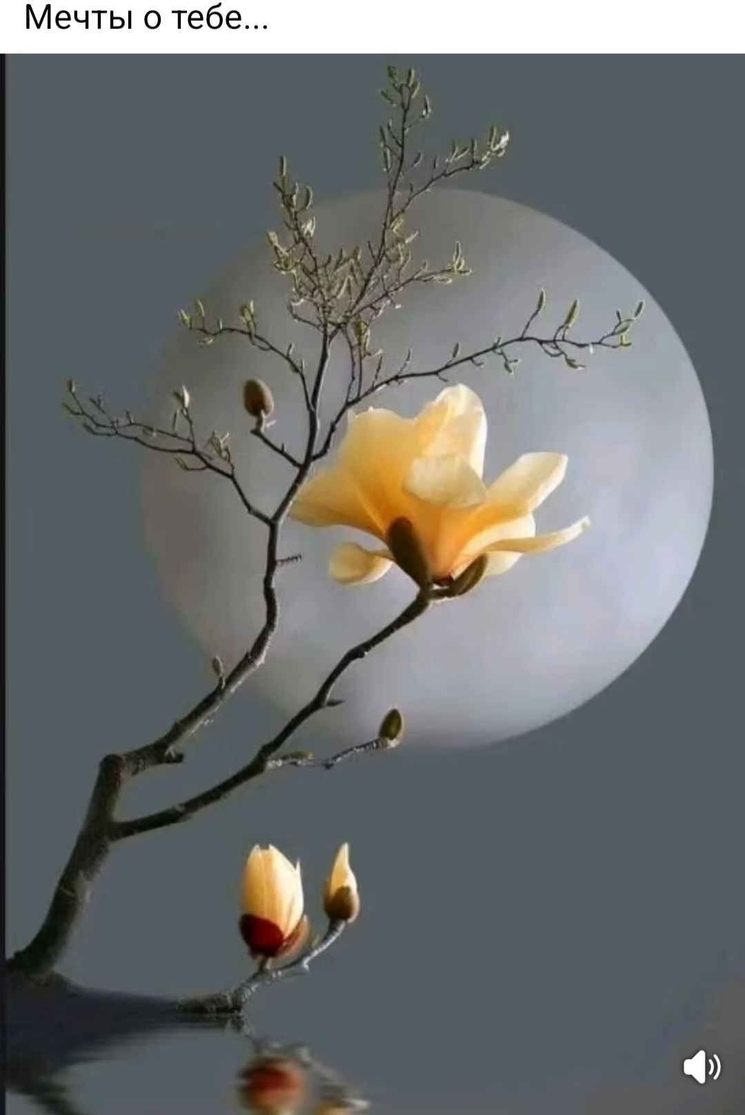 Я конечно смирюсь...