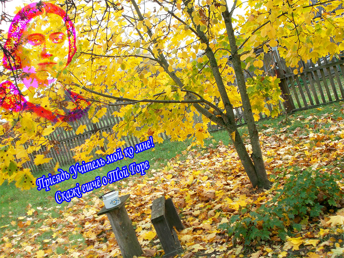 Тута до нас заглянула вдруг Тара