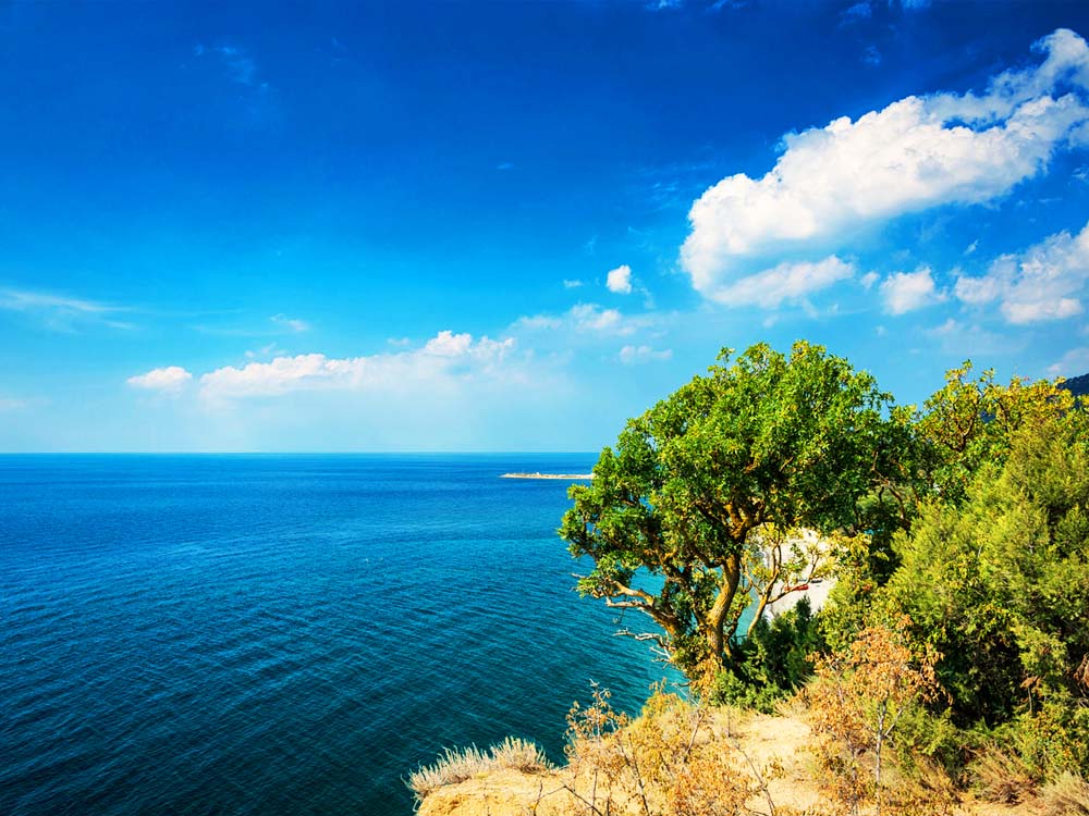 Ангелов Крылья!..