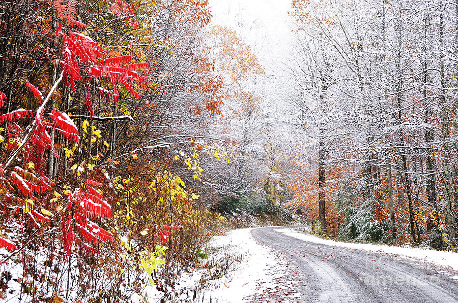 Поздняя осень и наступление зимы. Ноябрь природа. Поздняя осень. Осень ноябрь.