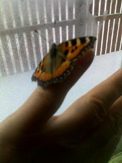 Плохая девочка