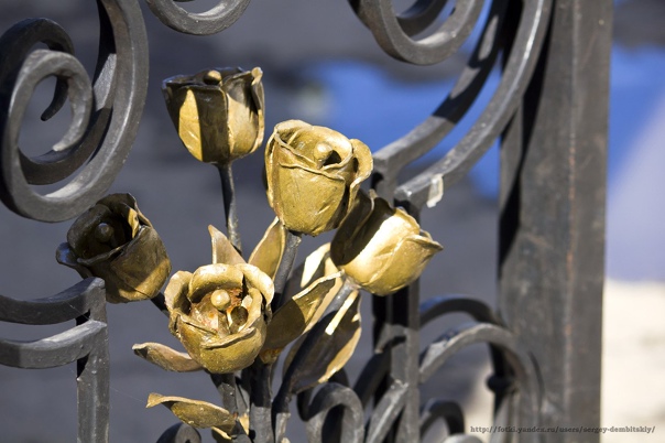 Легко любить