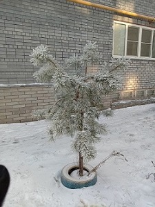 Предзимний день