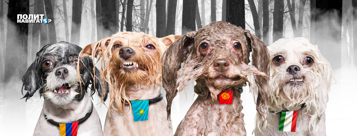 Прекратите проституцию Батька