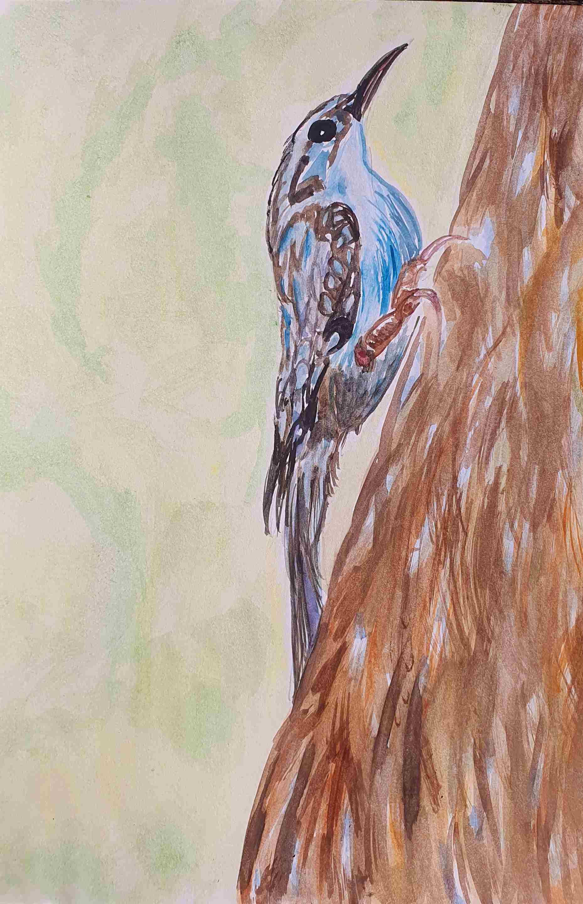 Пищуха обыкновенная