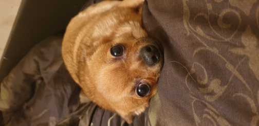 Моя муза моё вдохновение