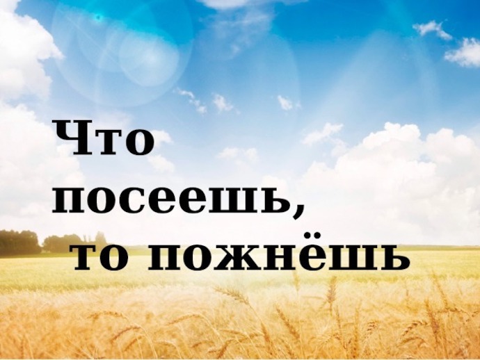 Рисунок к пословице что посеешь то и пожнешь