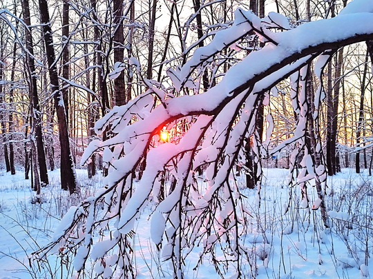 Вечер зимней грёзой