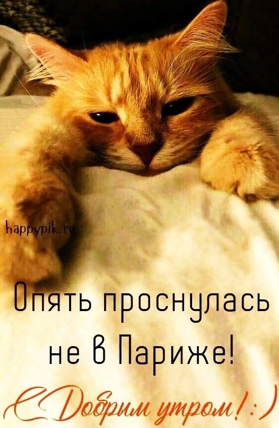 Опять проснулась не в Париже!