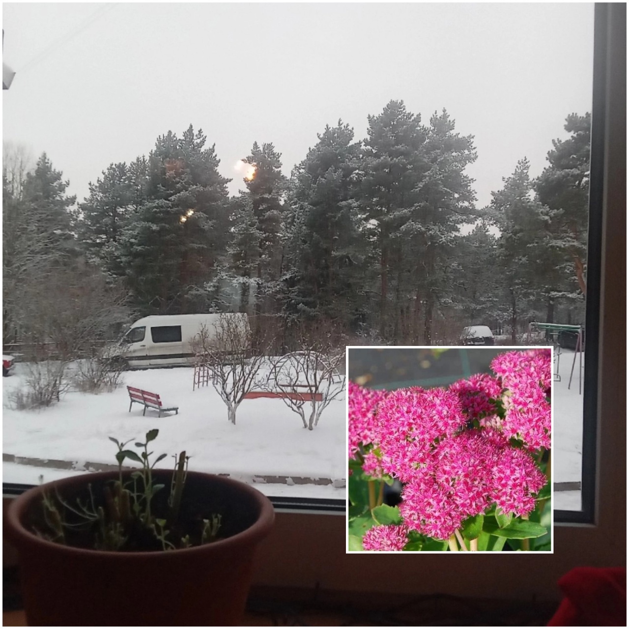 6 декабря. У меня от вас, друзья, секретов нет...