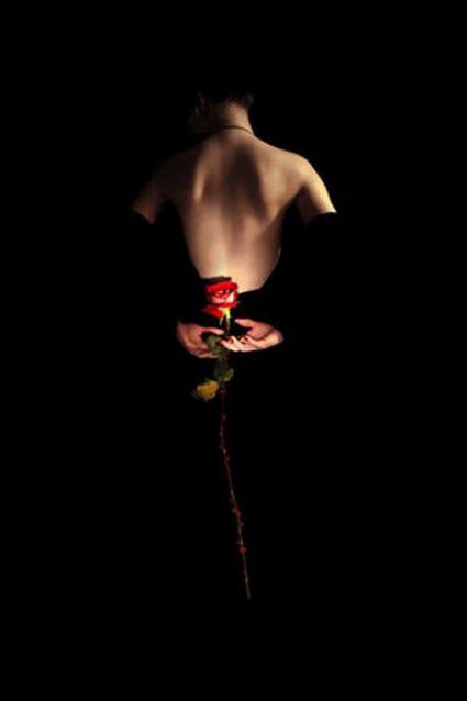 О правде и лжи