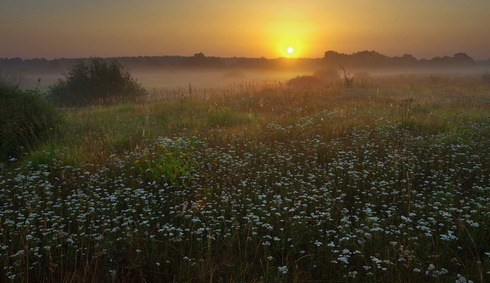 Откровения. Часть 3. Бывает слишком поздно...