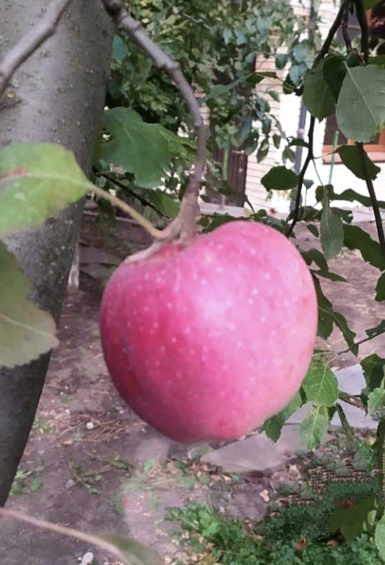Часть 16