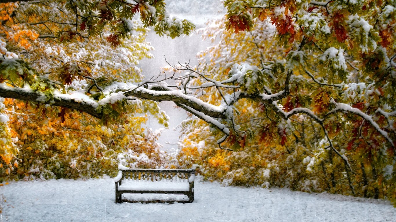 Ноябрь картинки. Осень снег. Снег осенью. Осенний пейзаж со снегом. Снег в осеннем парке.