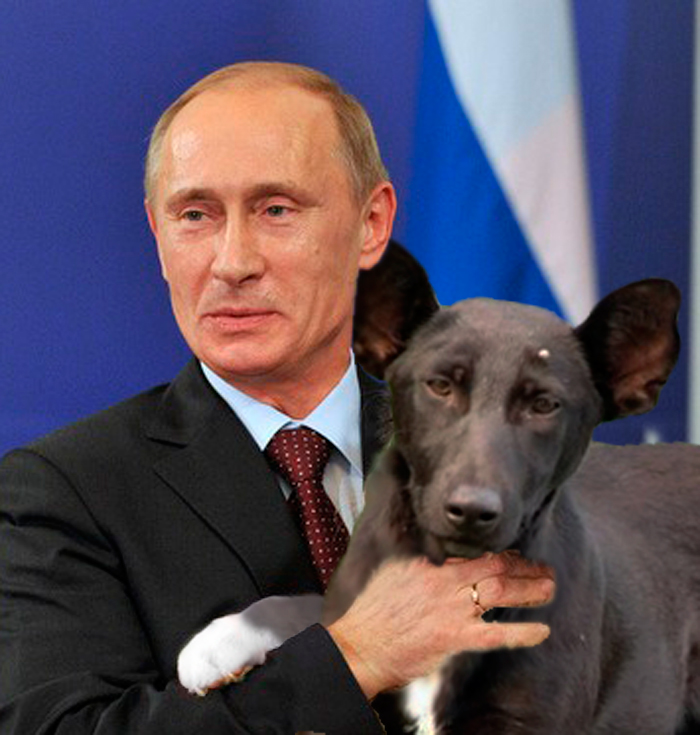Порода Собак У Путина Фото