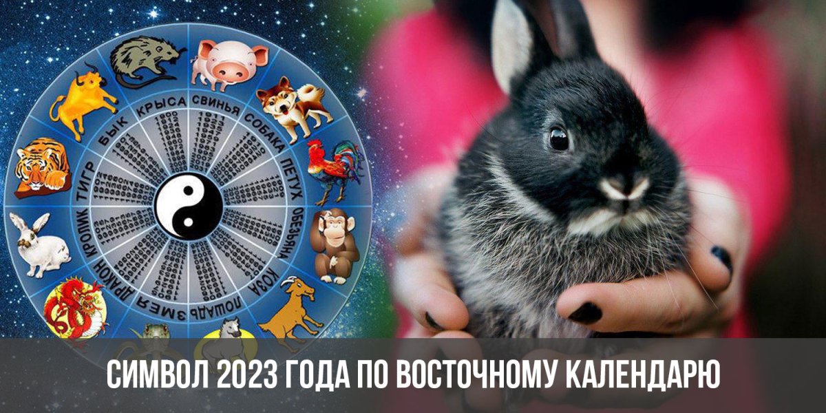 "Календарь Год кота и кролика, на 2023 год" купить Лабиринт