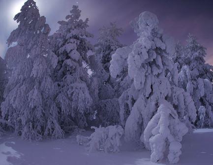 Зимняя сказка. Часть 1