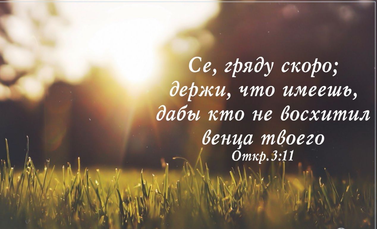 Отчего же так мало силы?