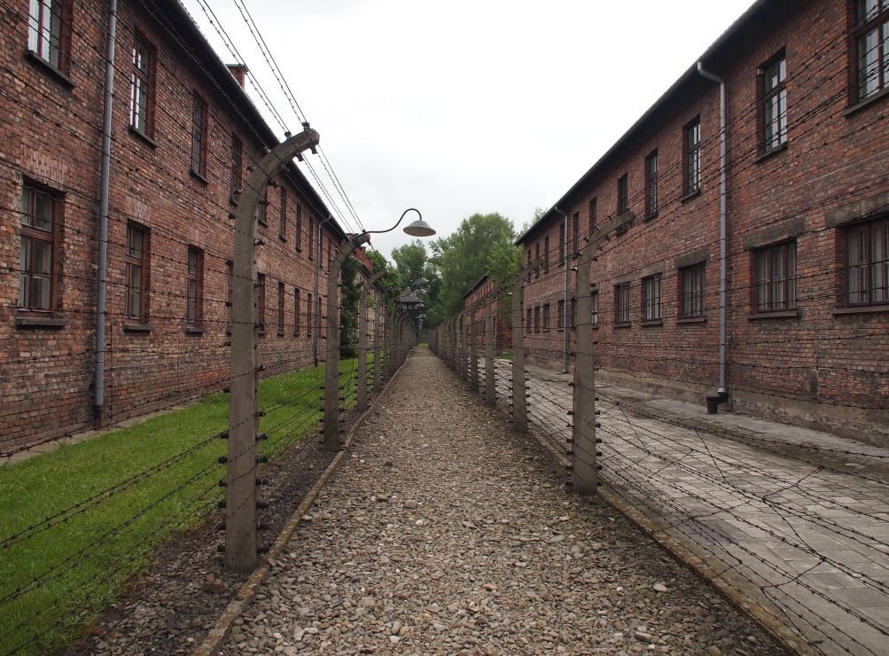 Свободы запах