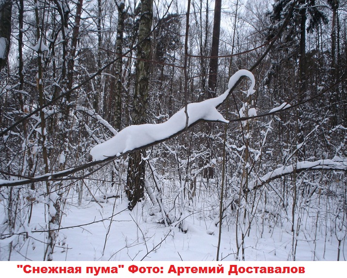 Зимние картины