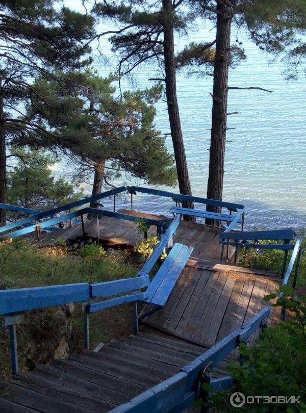 Бетта Краснодарский Край Отдых Фото