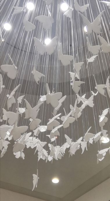 Любовь и голуби