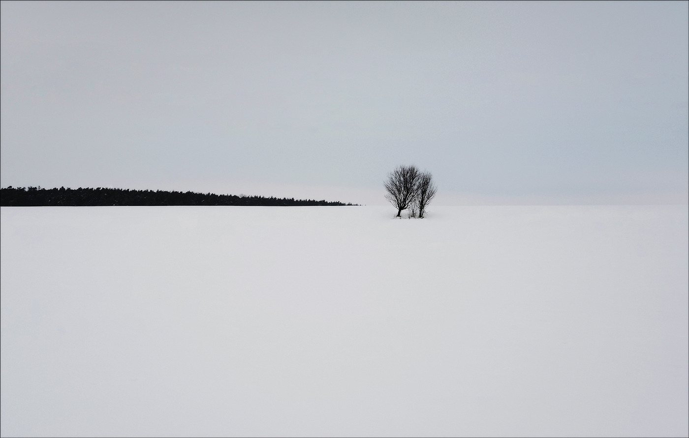 Снег января