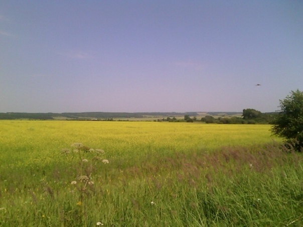 Одиночество