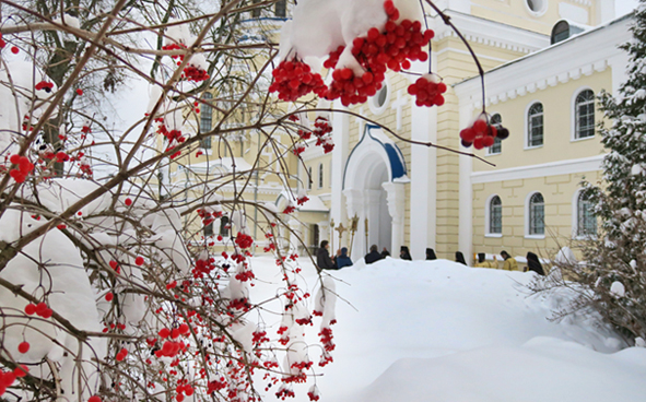 Я защищаю сильный снег!