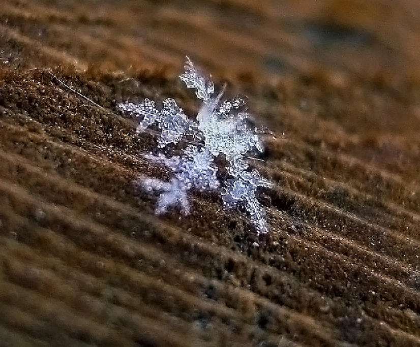 Снежная пустыня