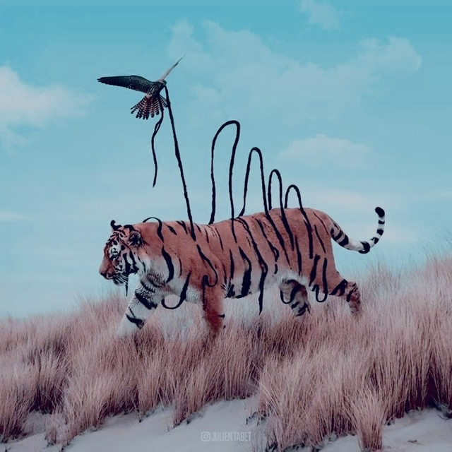 Золото Маккенны