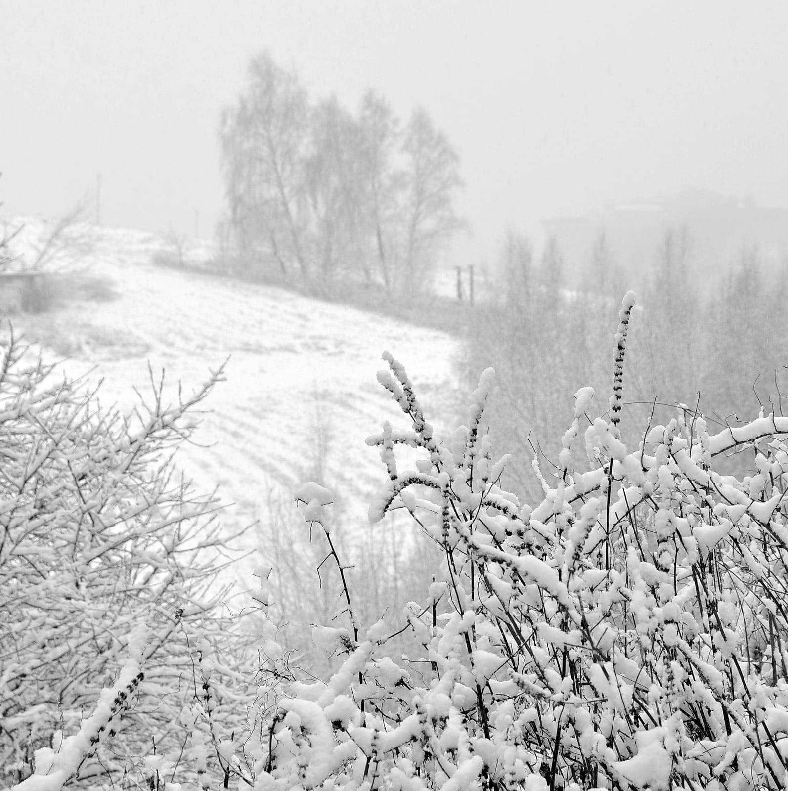 запорошила зима снегом поля луга завалила. запорошила зима снегом поля луга завалила. ранняя весна поле. поле зимой. поле в деревне зимой.