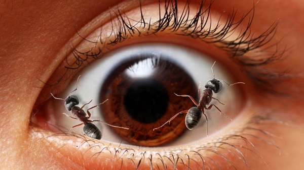 Будоражит весна