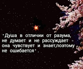 Верю, реальностью станет сон