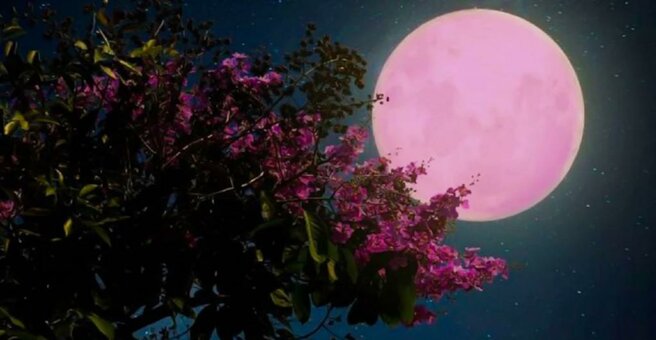 Ягодная луна