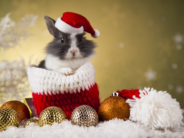 Поздравление с годом Кролика