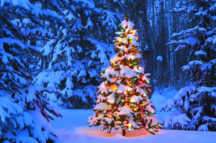 Новогодний триолет