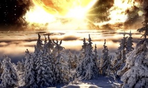 Аллея зимней славы