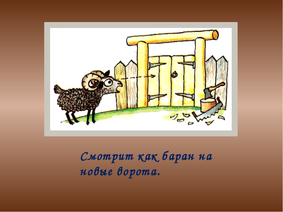 Ответы Mail.ru: А как вы считаете почему баран новыми воротами любуеться