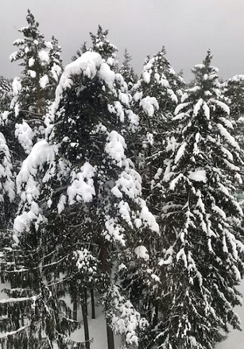 Скоро! Скоро Новый год!