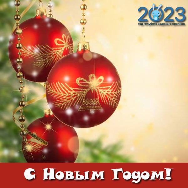 Приди - и будь счастливым Новый Год!