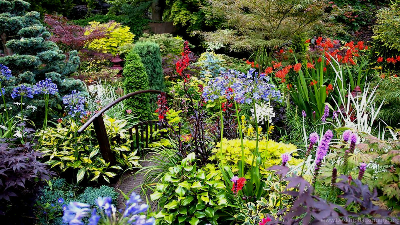 Осенний Сон