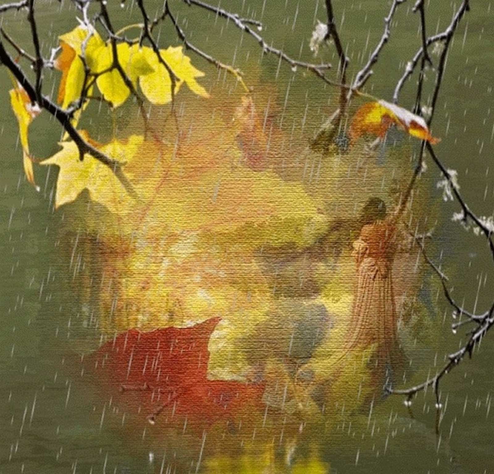 После теплого лета и дождливой осени. Дождливая осень. Осень дождь. Осень листопад дождь. Осенняя грусть.
